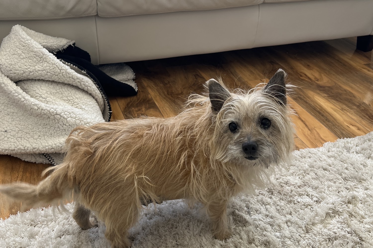 Riverton Veterinary Hospital