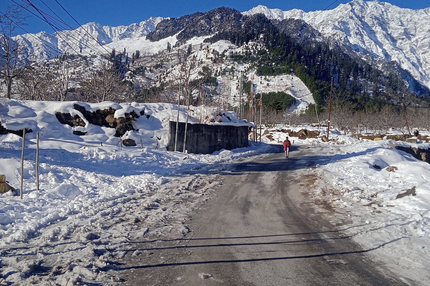 Lost and Hound Pet Rescue