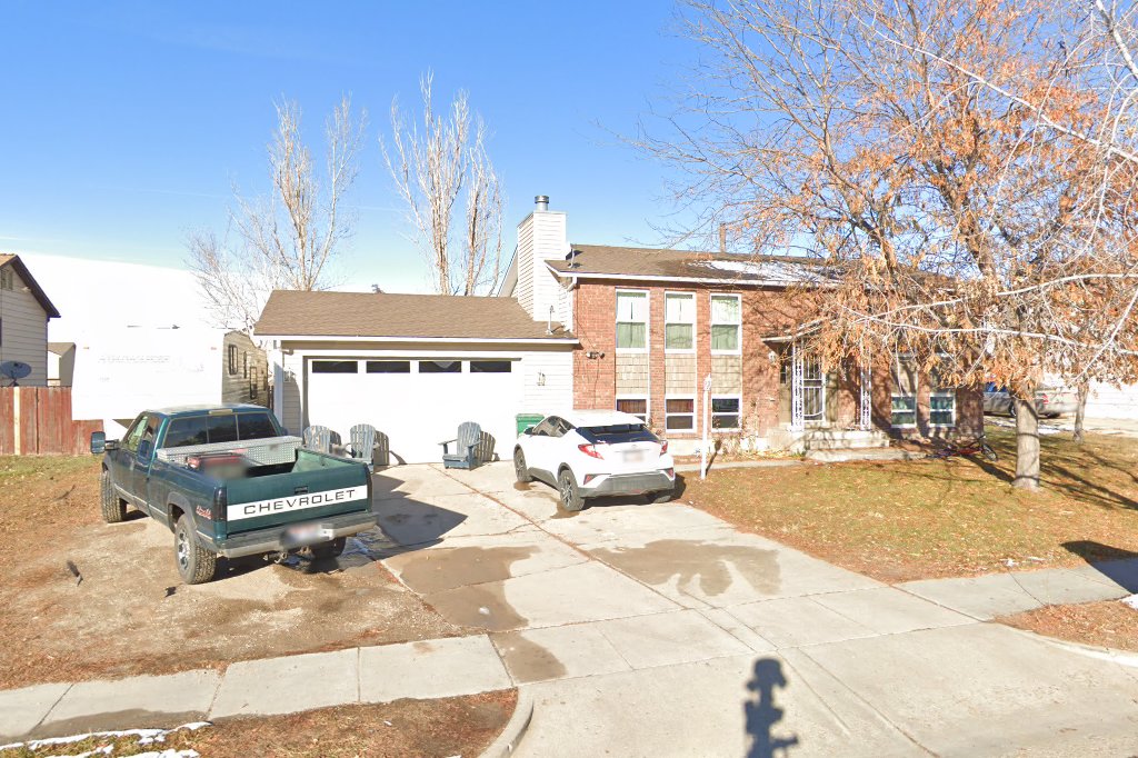 Fuzzy Friends Ferret Rescue