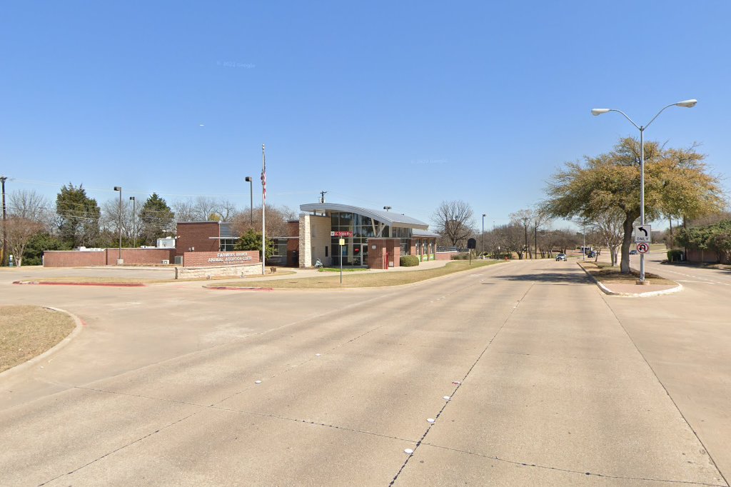 Dallas Animal Control