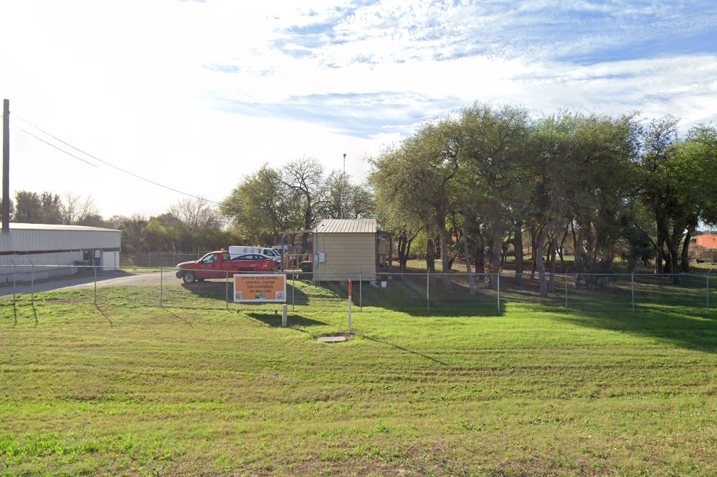 Alice City Animal Control