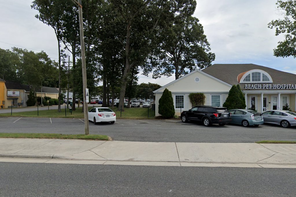 Beach Pet Hospital