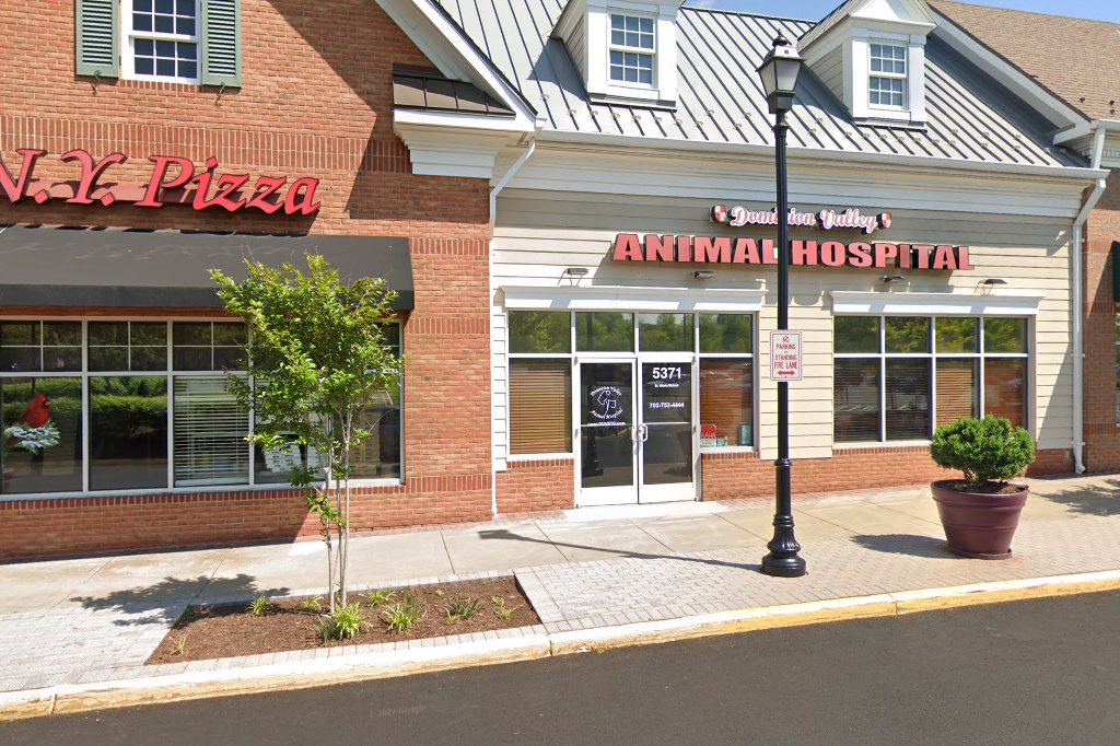 Dominion Valley Animal Hospital