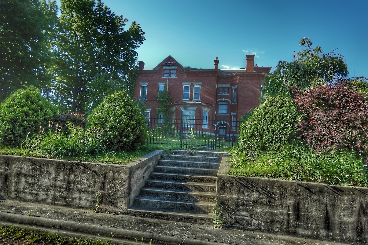 Animals With Our Love