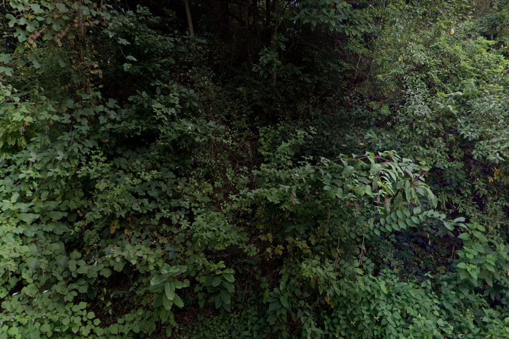 Humane Society Animal Shelter