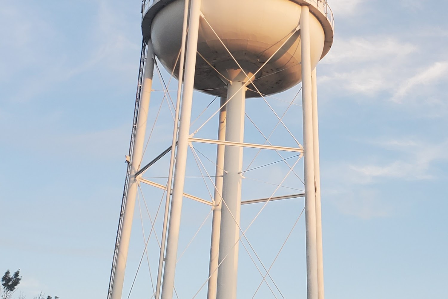 Olives Hope Pet Rescue