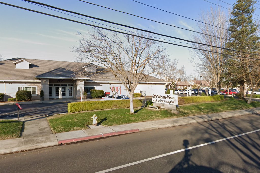 Monte Vista Equine Care