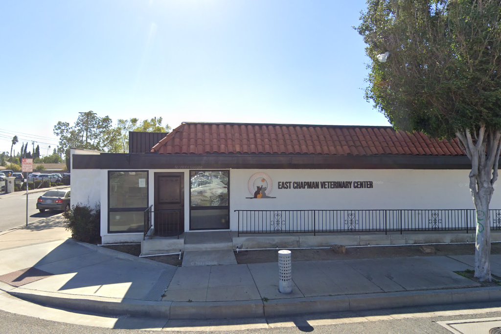 Villa Animal Hospital