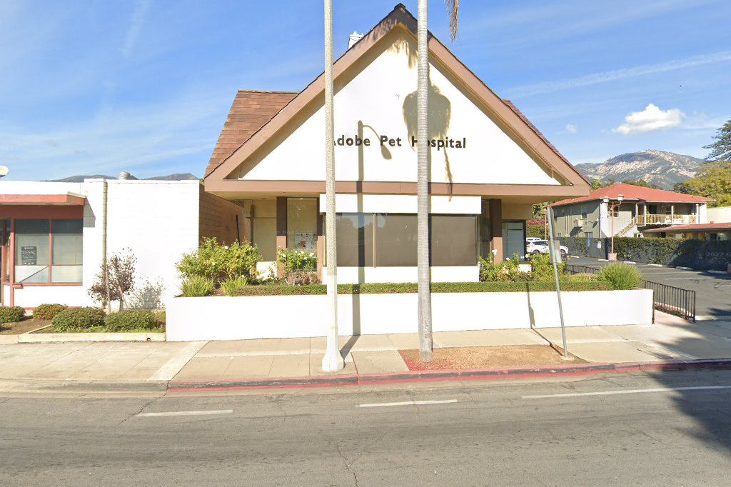 Adobe Pet Hospital
