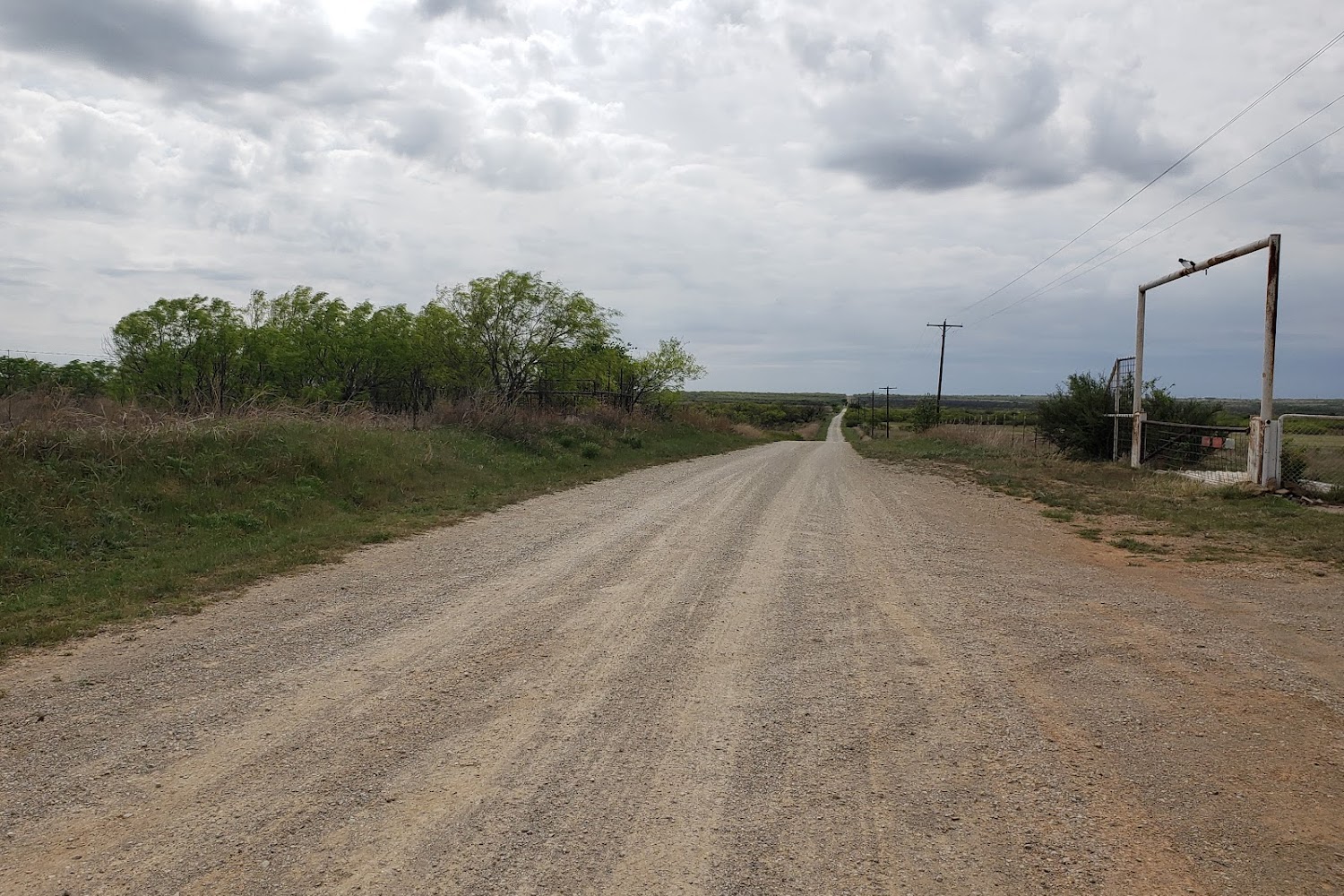 Burnham Veterinary Hospital
