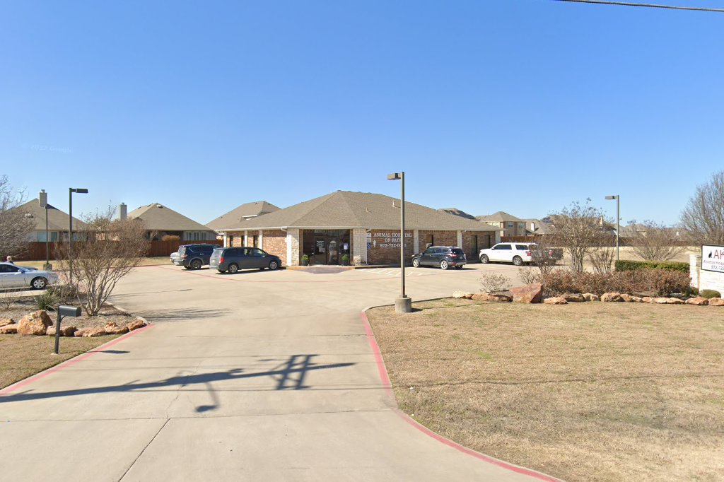 Animal Hospital of Fate