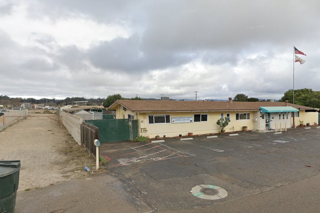 Companion Animal Placement Assistance