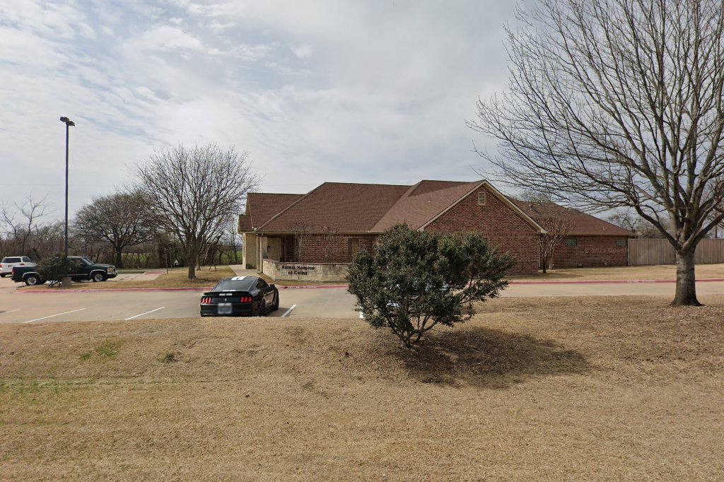 Animal Hospital of Celina