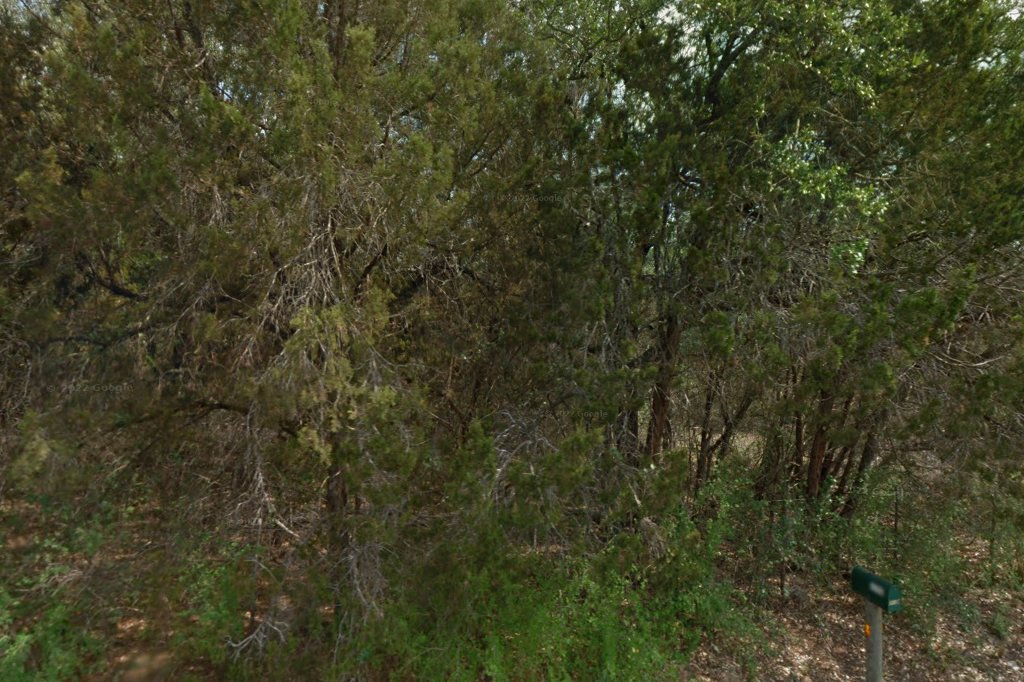 Highway 29 Veterinary Hospital