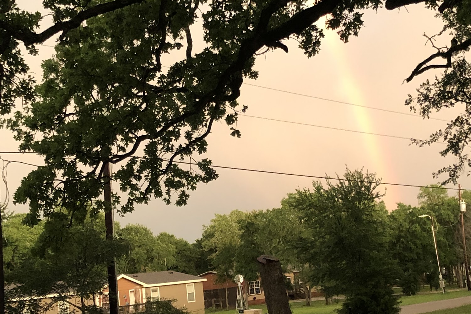 Highway 71 Veterinary Hospital