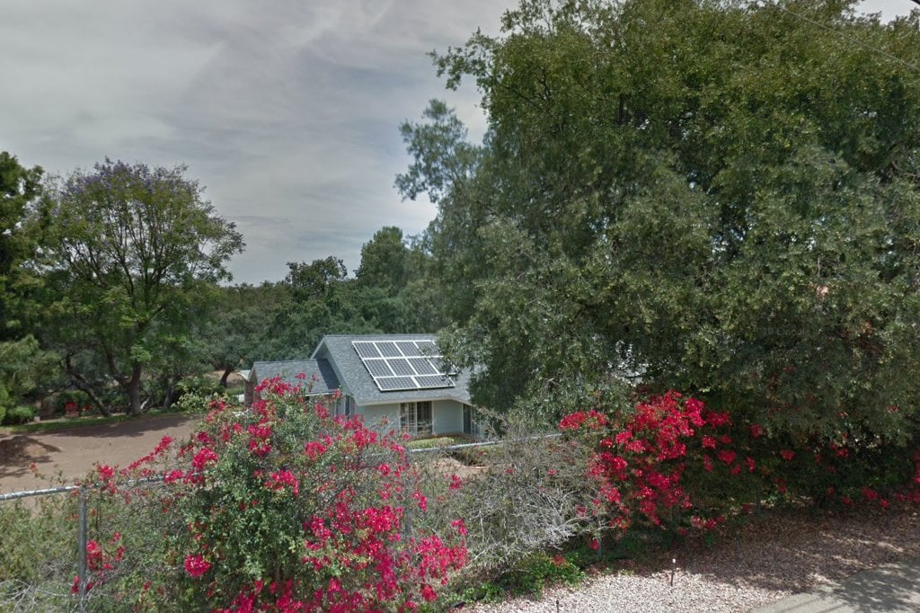 American Maltese Assoc. Rescue