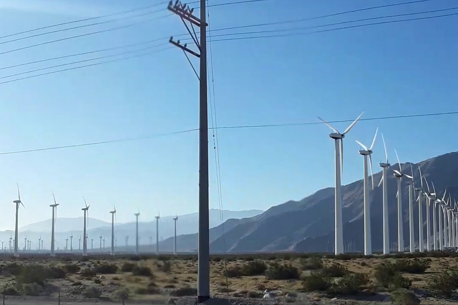 The Magic Jungle Wildlife Sanctuary