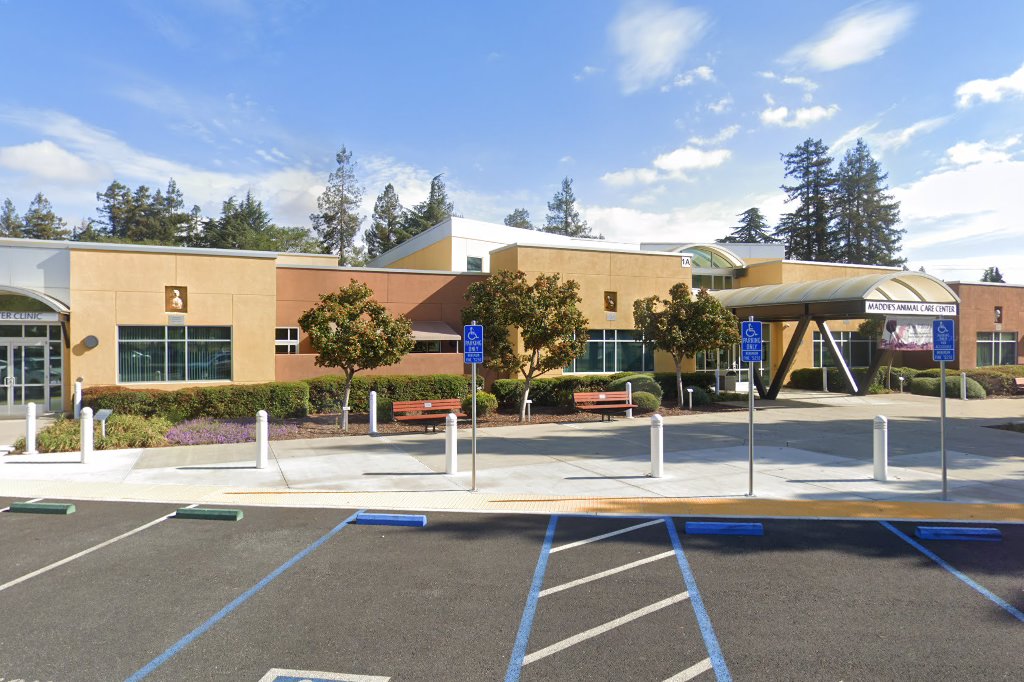 Tony La Russa's Animal Rescue Foundation