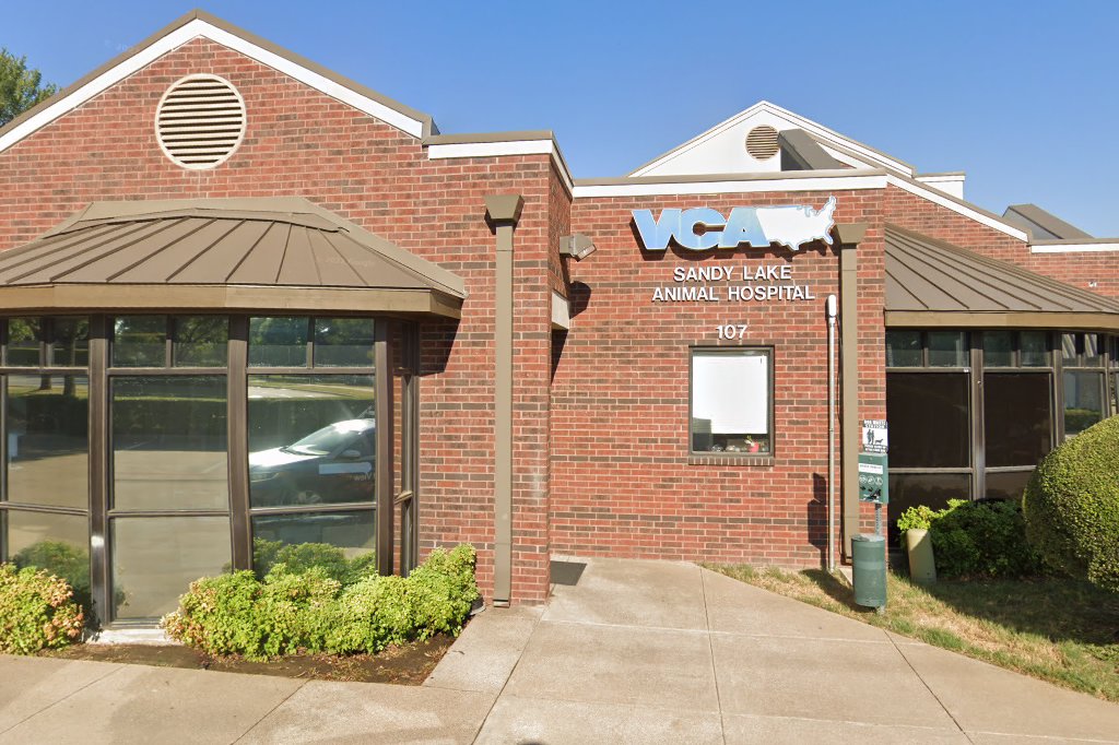 VCA Sandy Lake Animal Hospital
