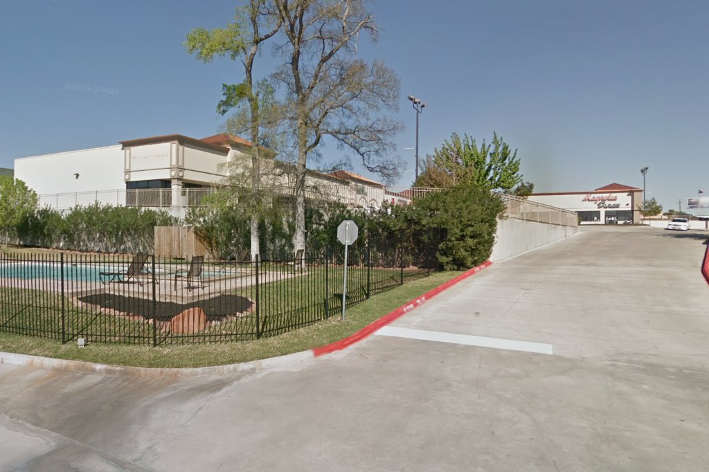 Vista Veterinary Hospital & Wellness Center