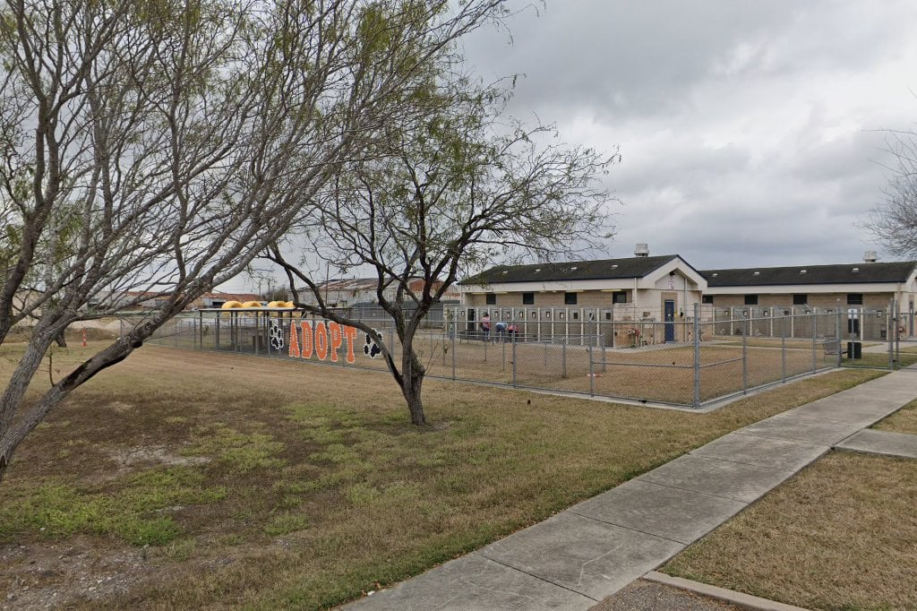 Animal Control Division Corpus Cristi