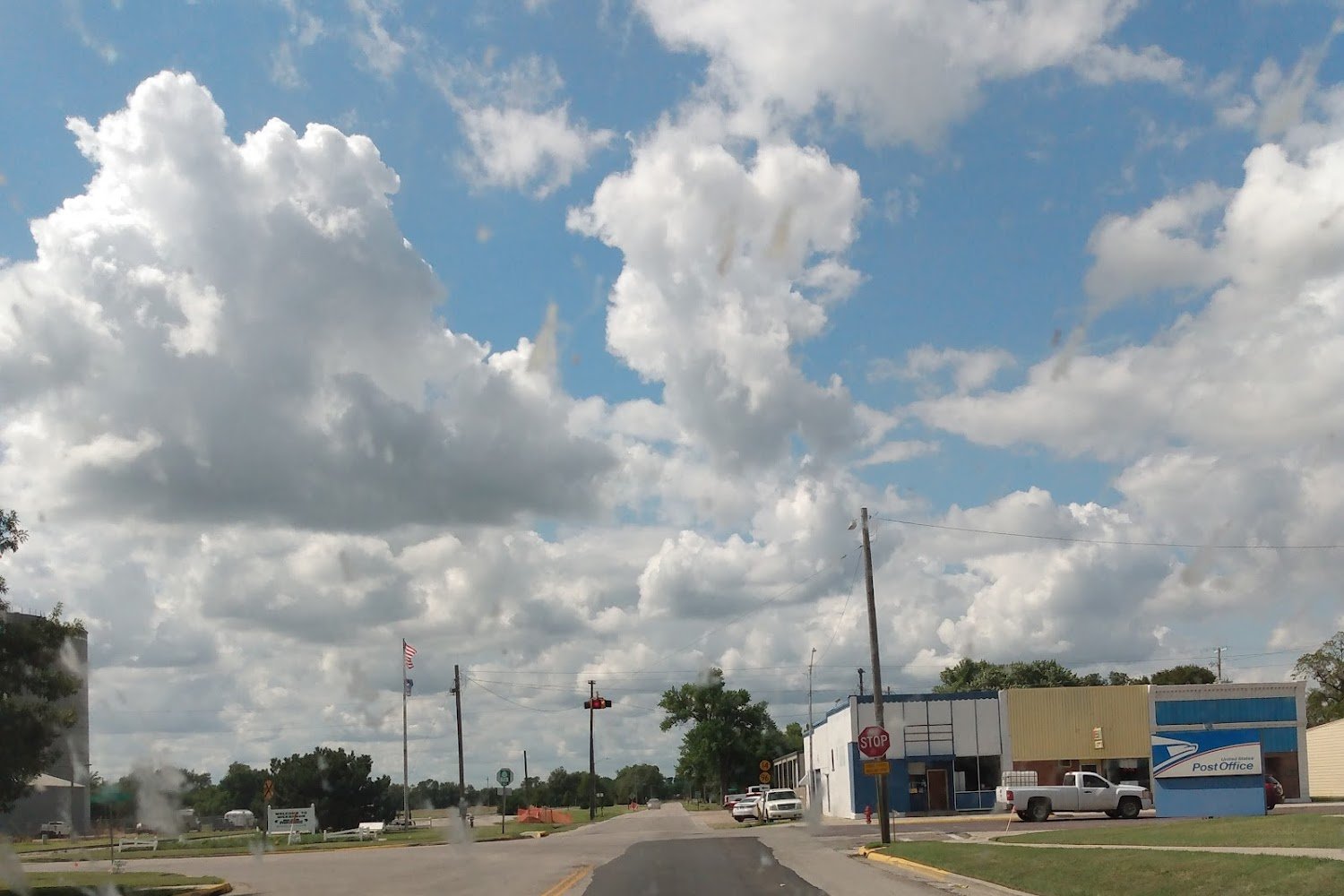 Bless the Beasts Canine Placement Program