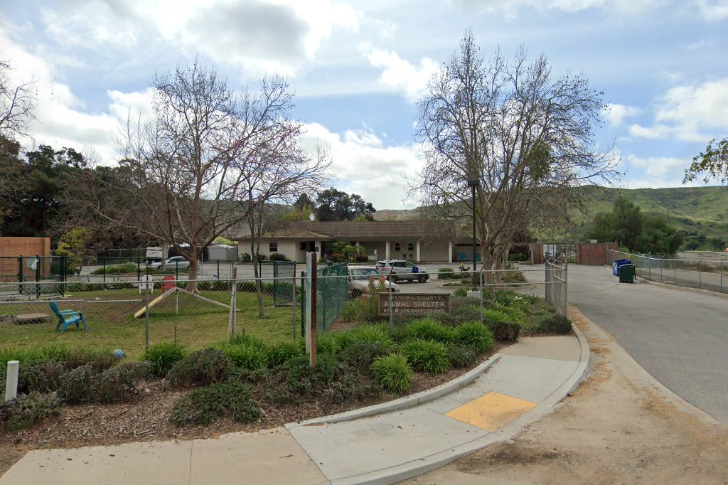 Ventura County Animal Shelter
