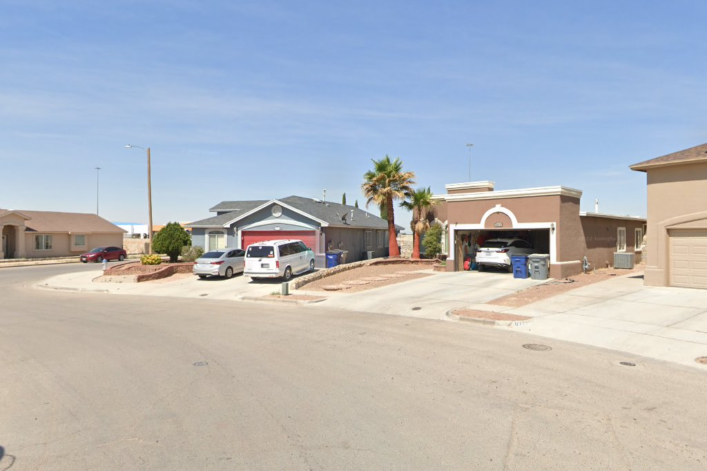 Passion Horse Dfw Canine Equine Rescue