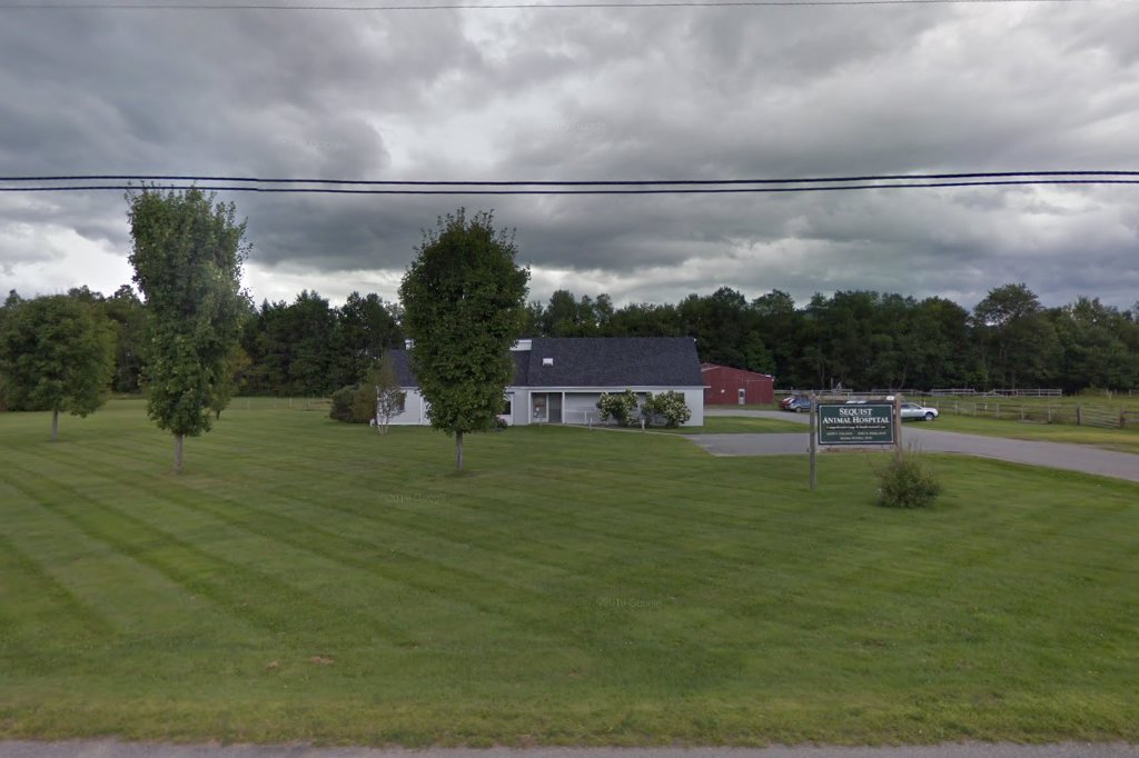 Sequist Animal Hospital