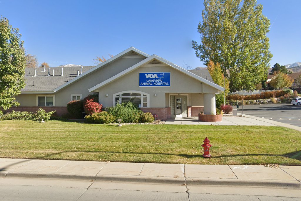 Lake View Animal Hospital