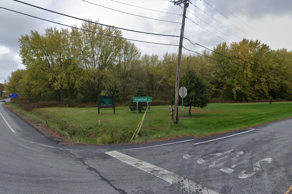 Save The Greyhound Dogs