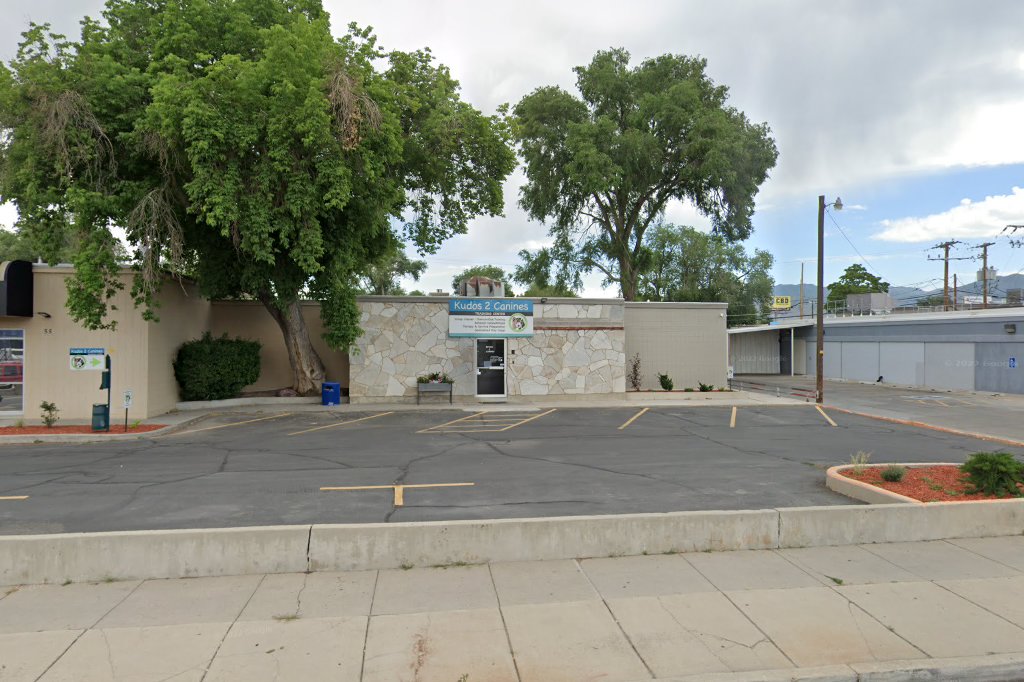 Central Valley Veterinary Hospital