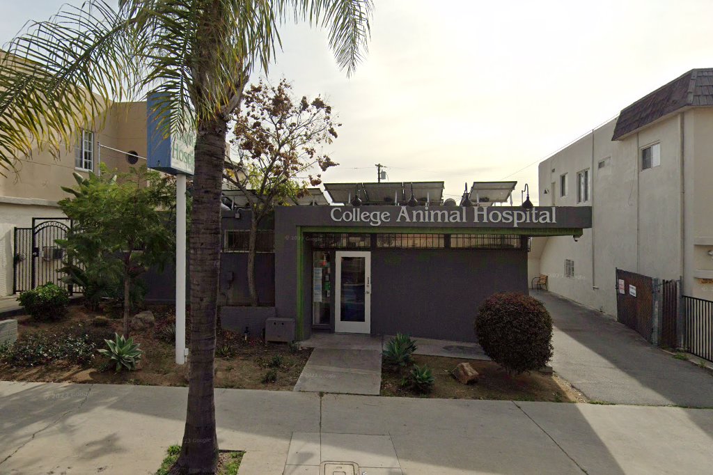 San Diego College Animal Hospital