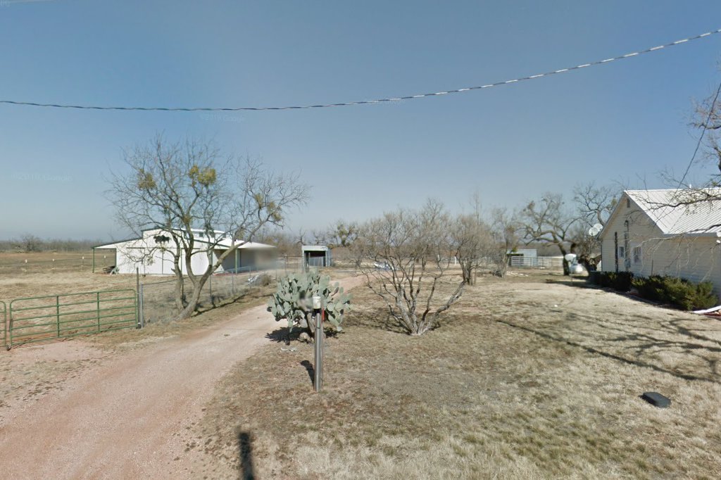 Tawna's Foster Home for Dogs