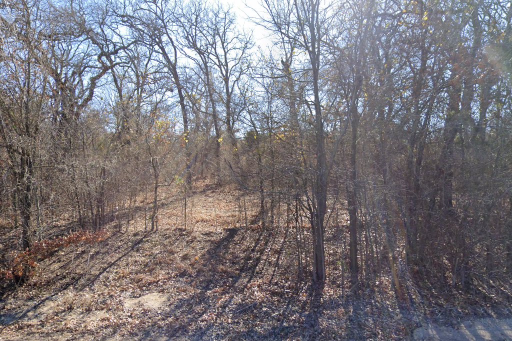 Ferrets First Rescue & Shelter