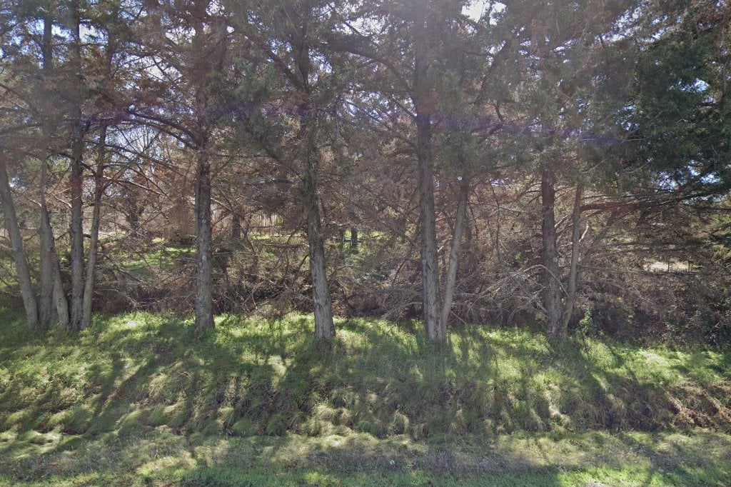 Kelseyville Animal Control