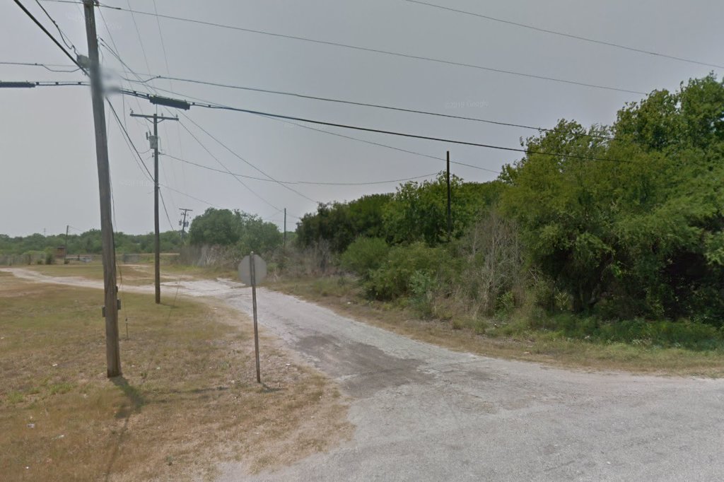 San Diego Animal Control