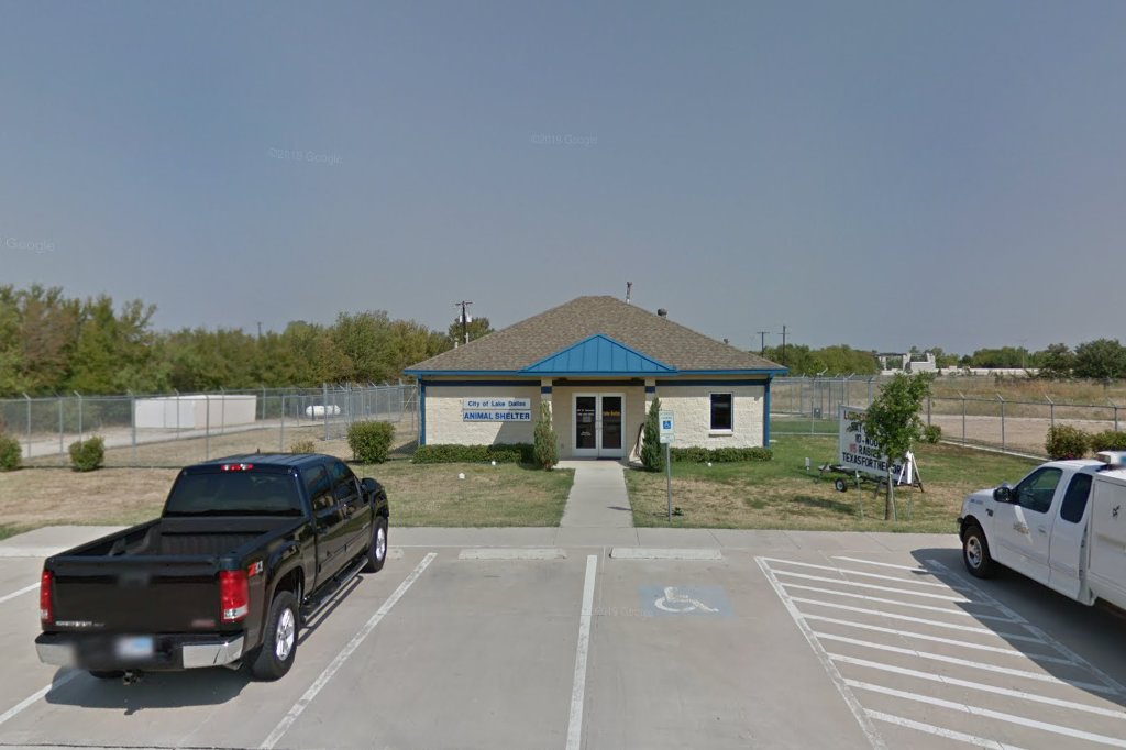 Lake Dallas Animal Control