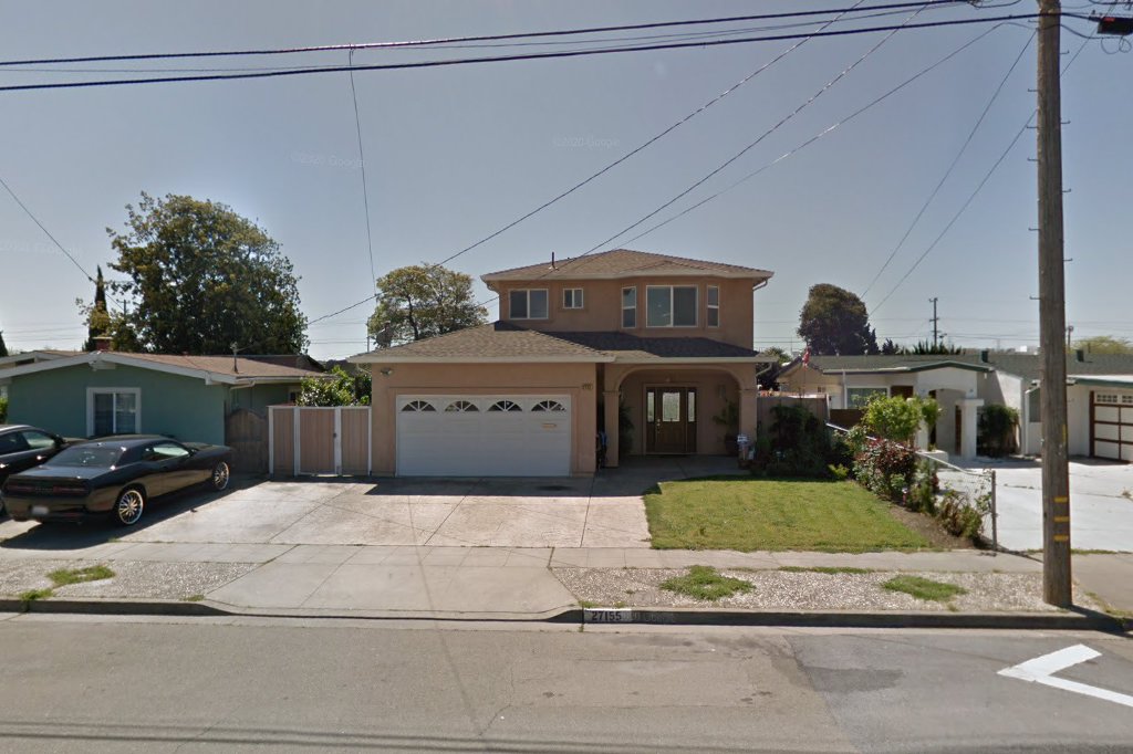 Tikihut Akita Rescue Association Tara