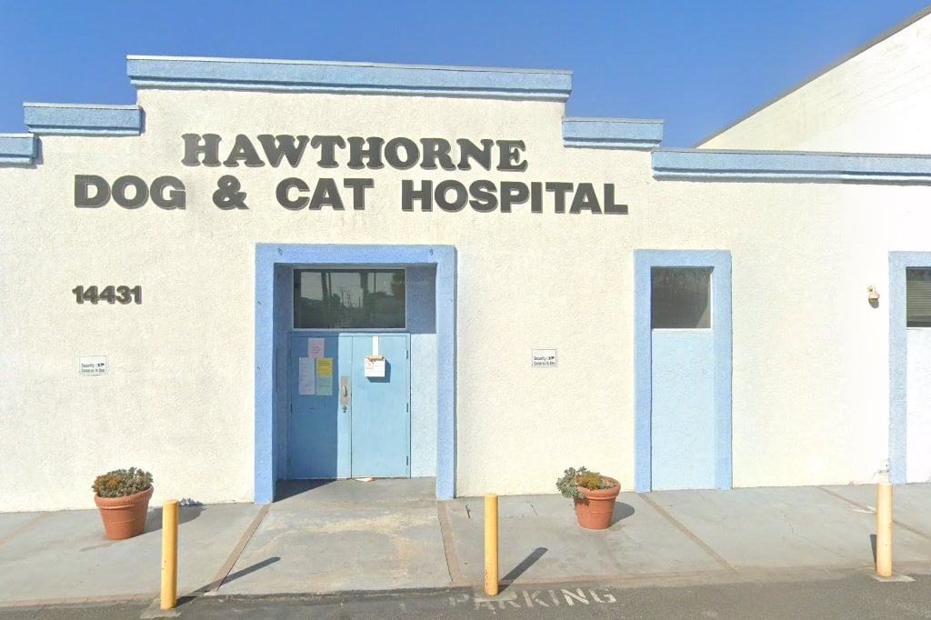 Hawthorne Dog and Cat Hospital