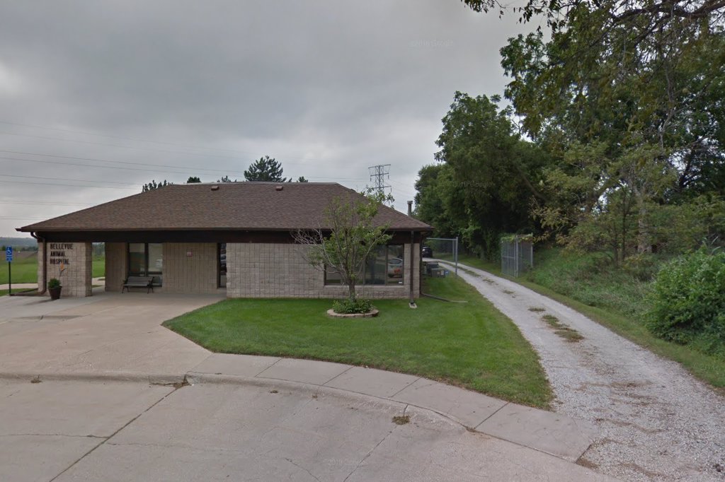 Bellevue Animal Hospital
