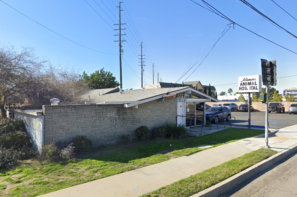 Alamitos Animal Hospital