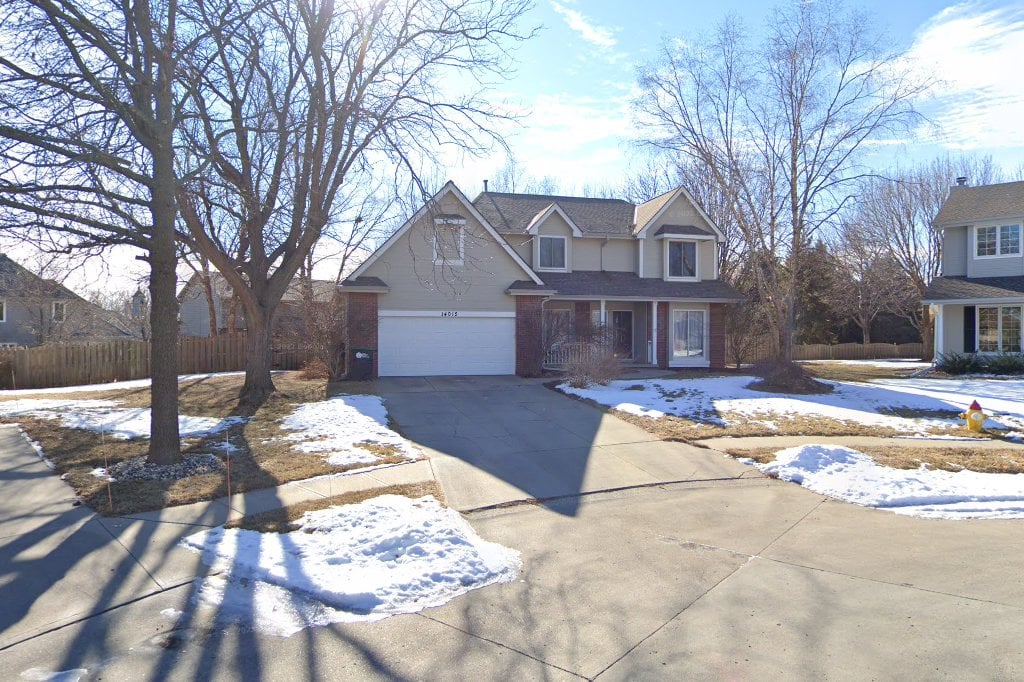 Neia Saint Bernard Rescue