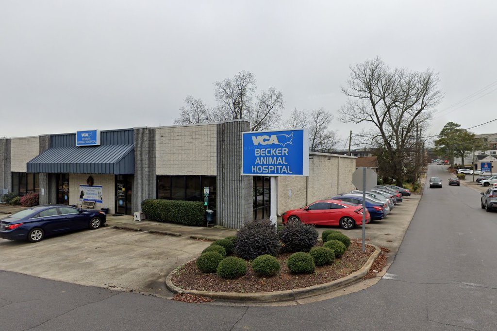 VCA Becker Animal Hospital