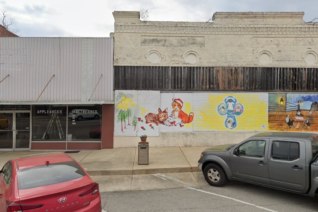 Walking On The Moon Animal Hospital