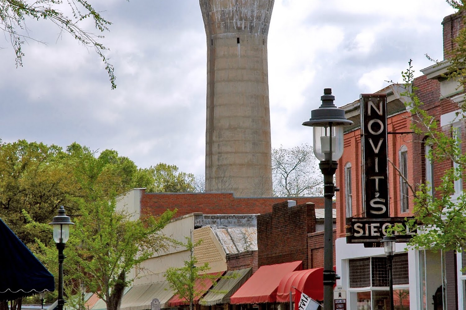 Colleton County SPCA