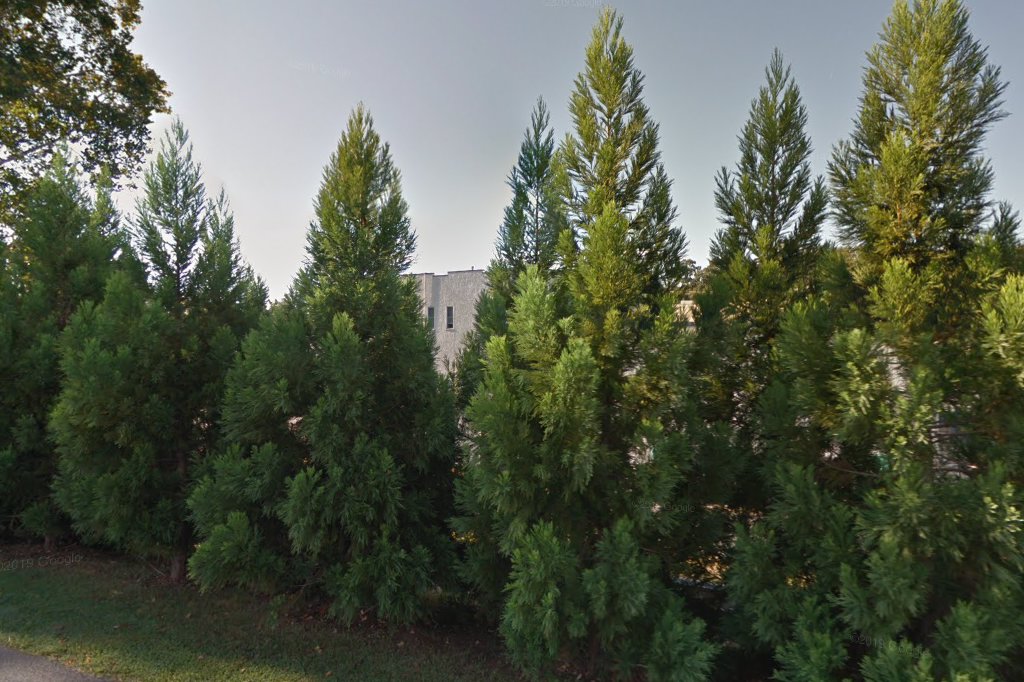 Animal Hospital of Ivy Square