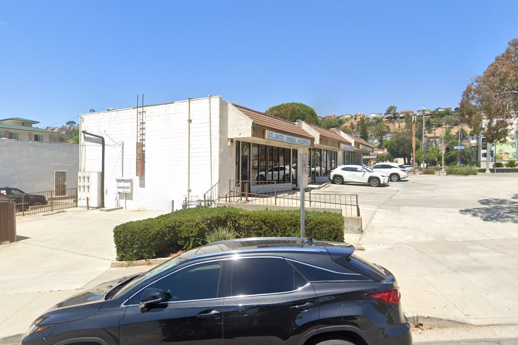 Atlantic Animal Hospital