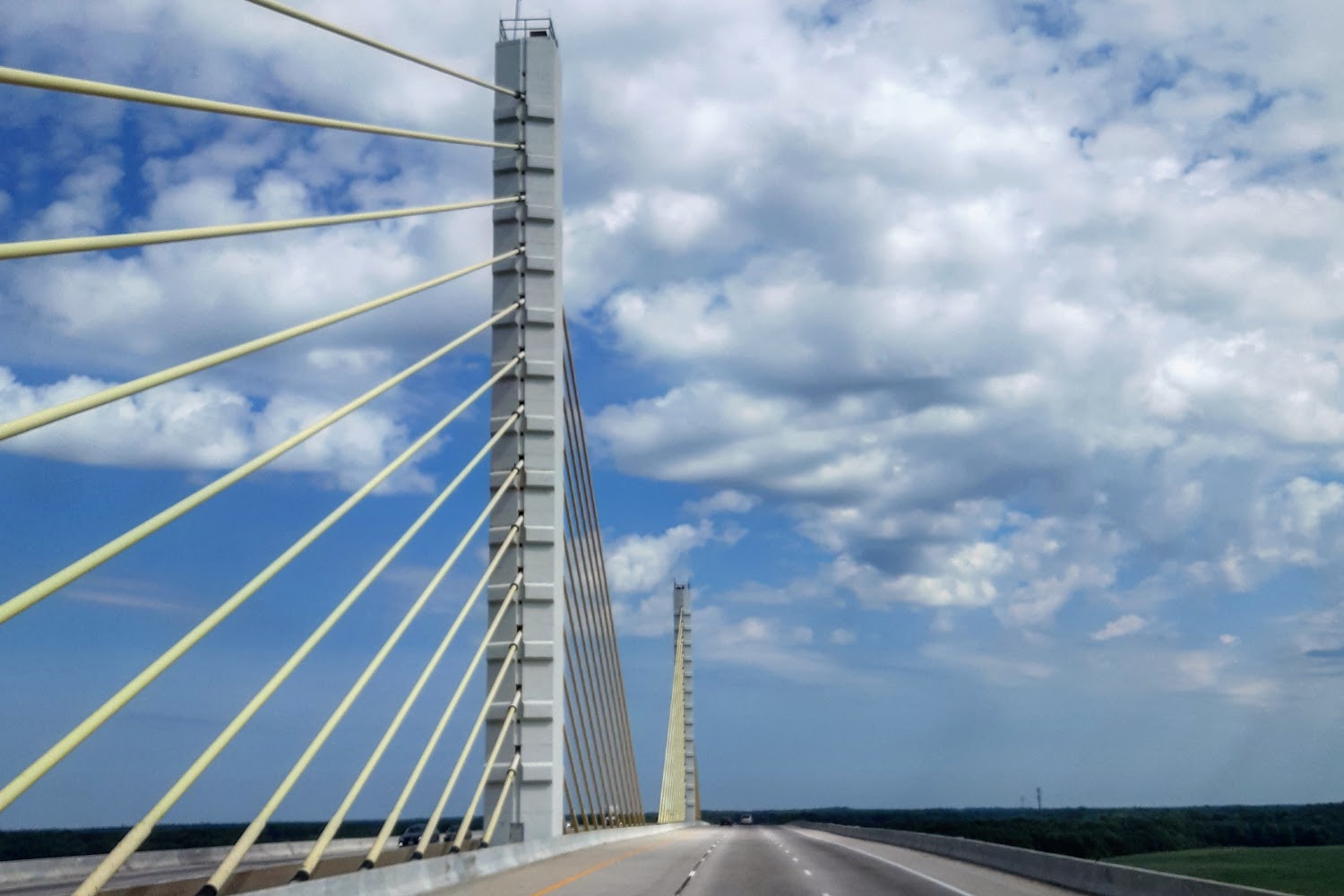 Saving Animals From Euthanasia