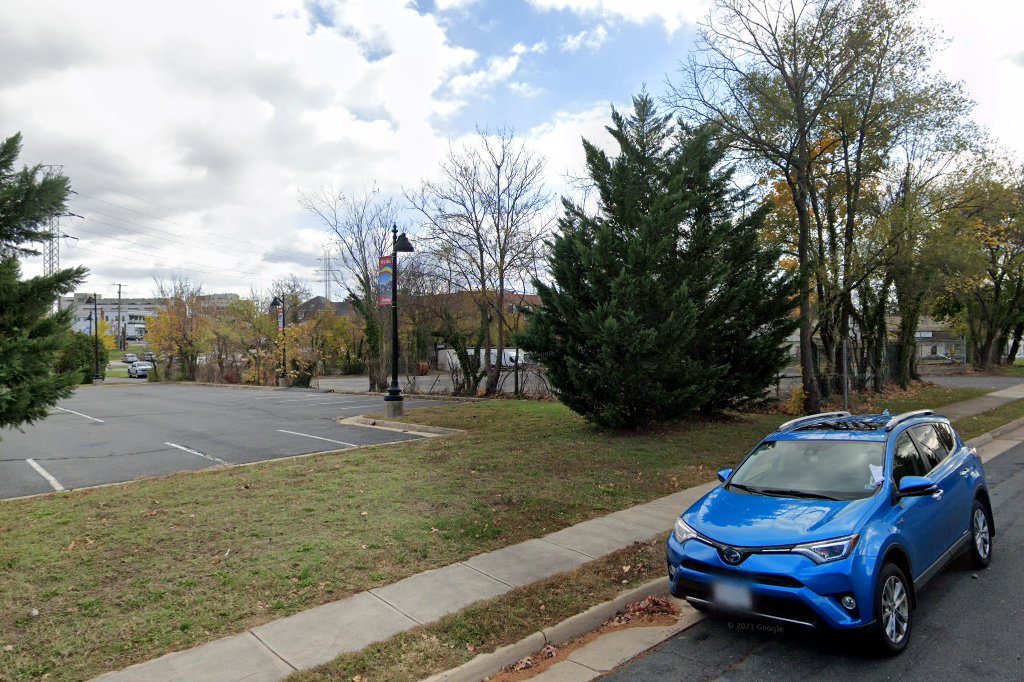 Fancy Cats Rescue Team